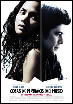 COSAS QUE PERDIMOS EN EL FUEGO